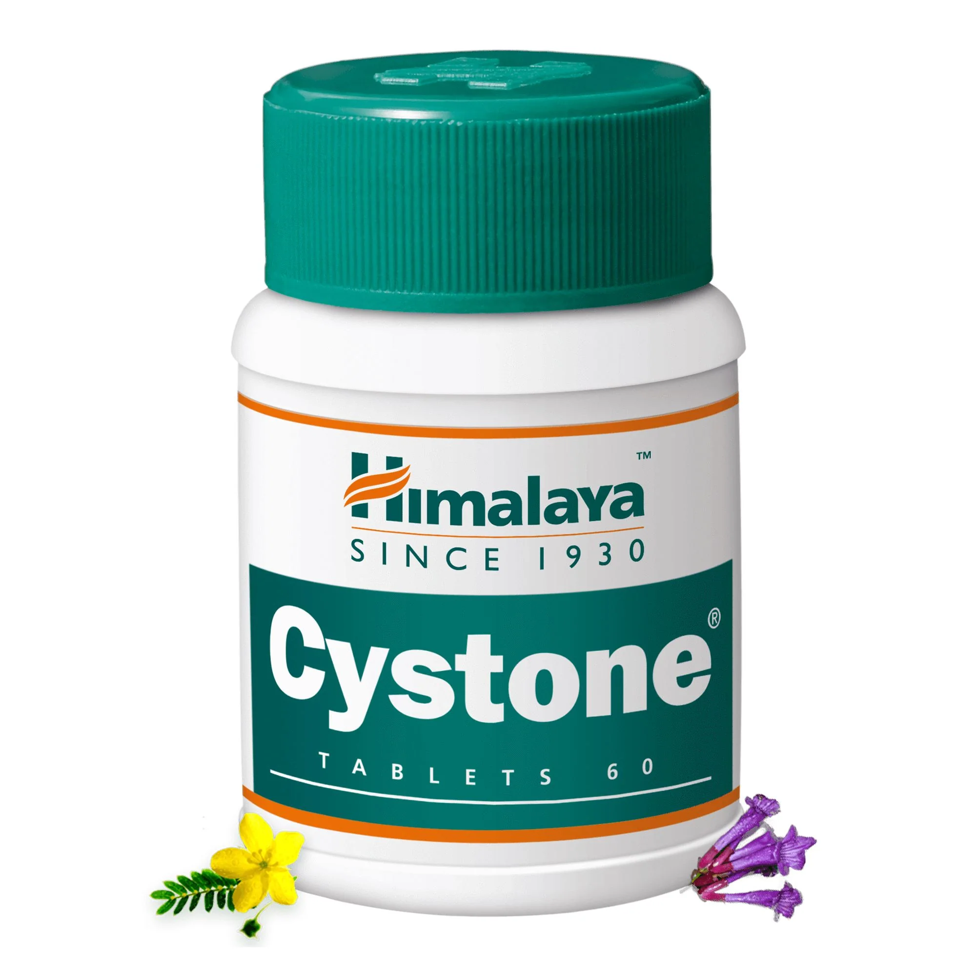 Cystone  tab 60 capsules