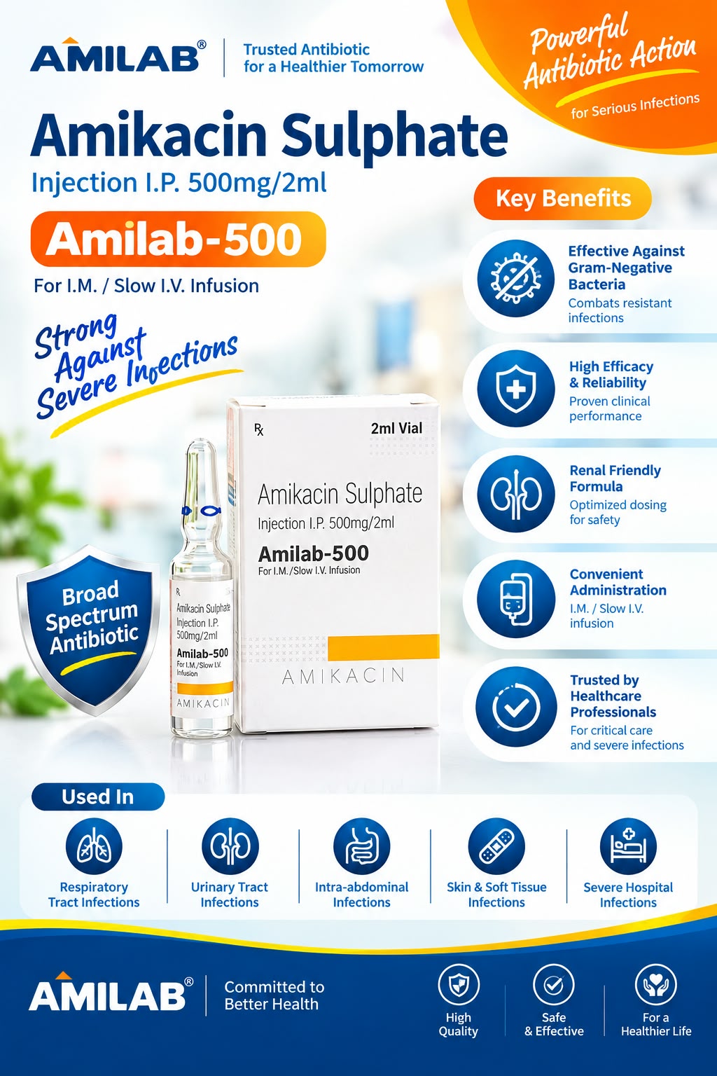 Amilab 500mg Injection 2 ml Injection