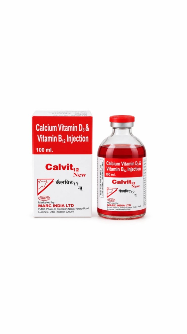 Calvit 12 Injection 100ml